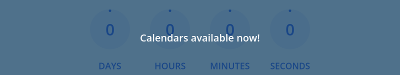Count down to 2025-11-20T17:00:00.000Z
